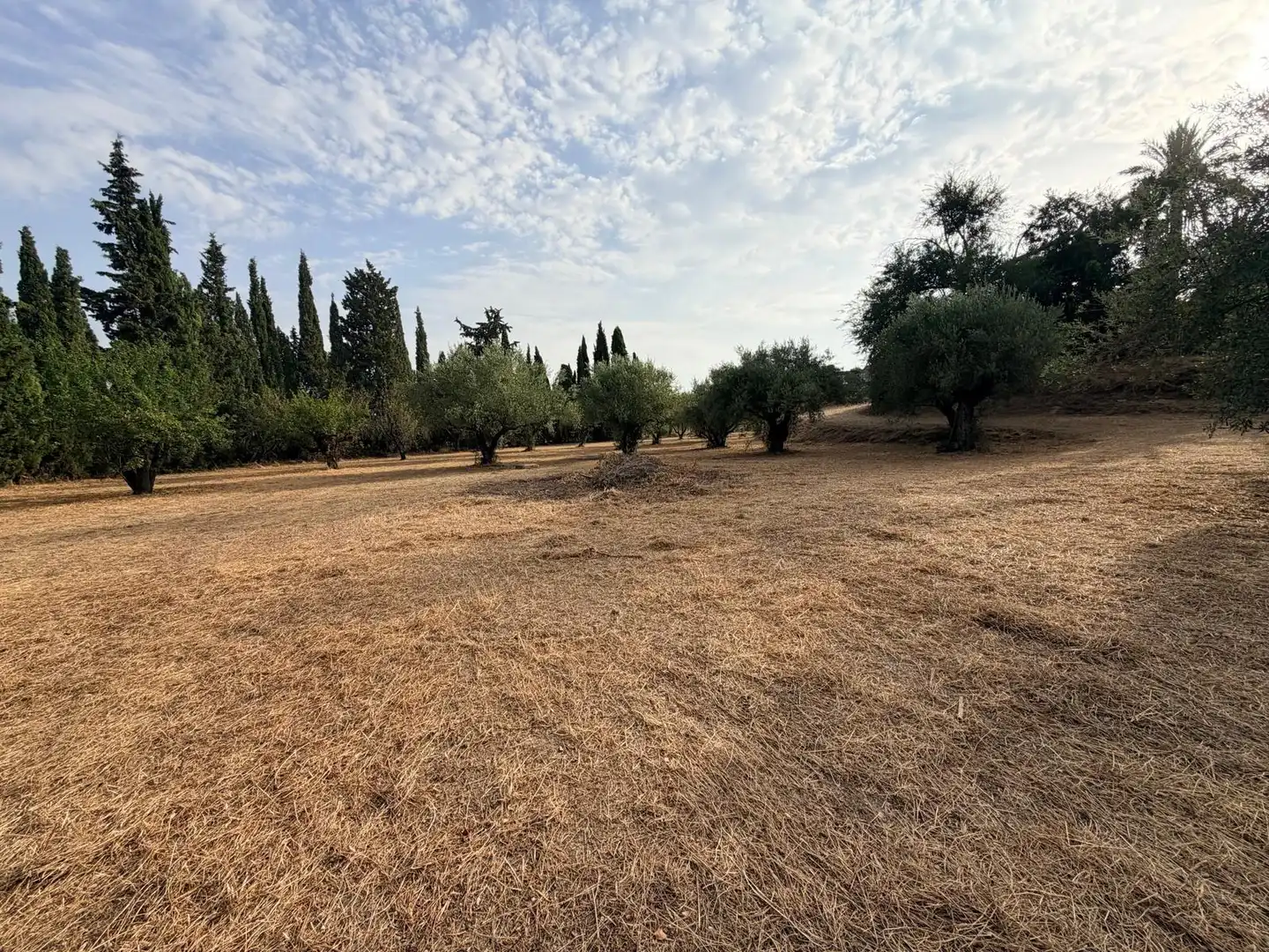 Villa avec piscine à vendre à Albaida, imagen 60