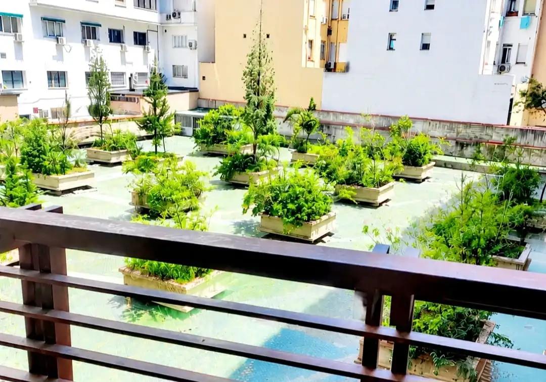 Appartement avec terrasse à vendre à Calle de Galileo 1, imagen 48