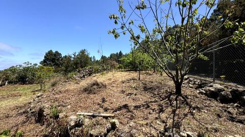 Foto 5 de Residencial en venda a La Peña, 1, La Vega - El Amparo - Cueva del Viento, Santa Cruz de Tenerife