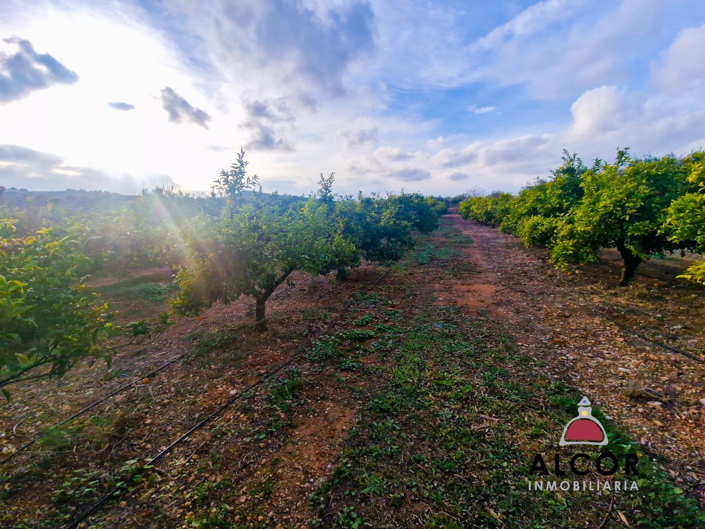 Country house zum verkauf in Almazora / Almassora