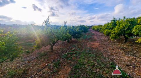 Foto 2 de Finca rústica en venda a 16, Casco Antiguo - Darremur, Castellón