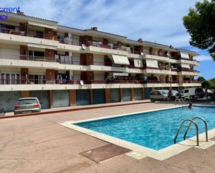 Swimming pool of Flat to rent in L'Estartit  with Terrace and Swimming Pool