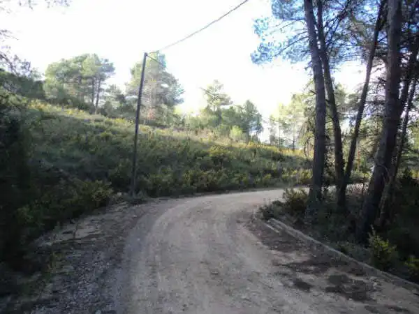 Terreno rustico in vendita a C/ Josep Plá, imagen 8