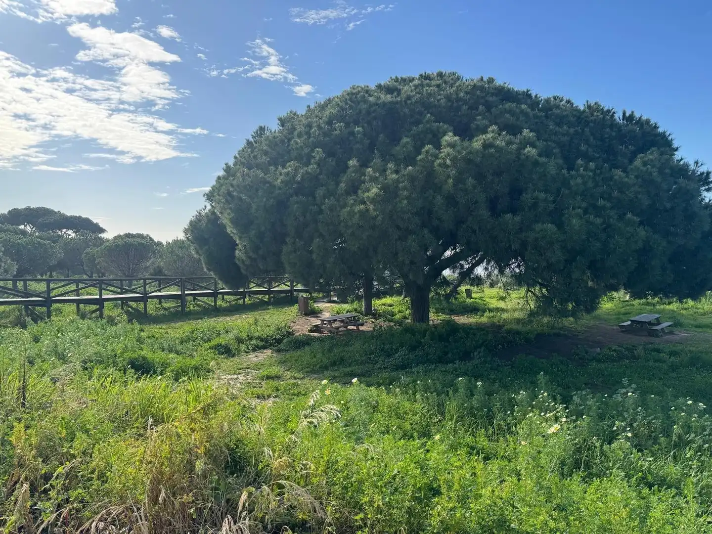 Villa mit Garten zum Verkauf in Calle MAR SERENA, imagen 44