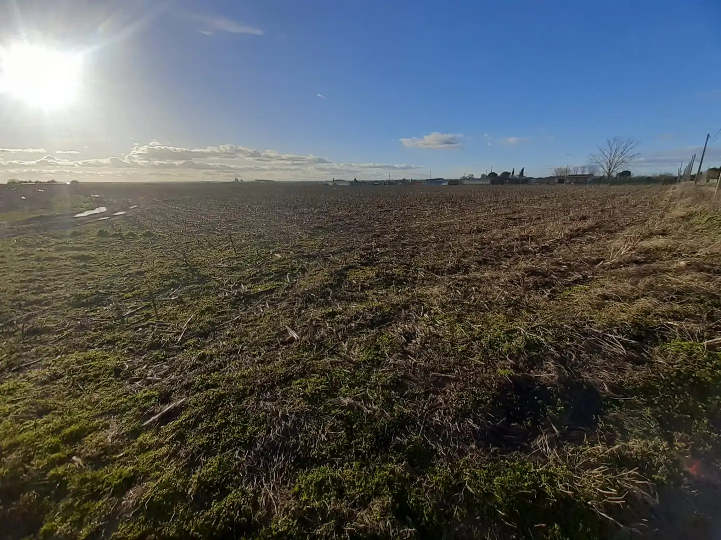 Land for sale in Villaralbo