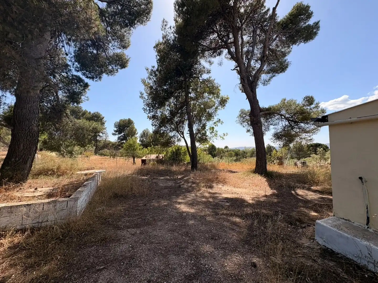 Finca rústica en venda en Biar amb Terrassa