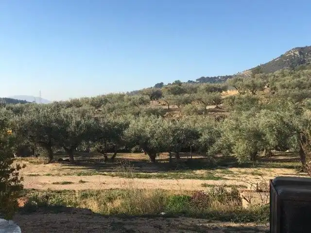 Casa o xalet en venda en Tortosa