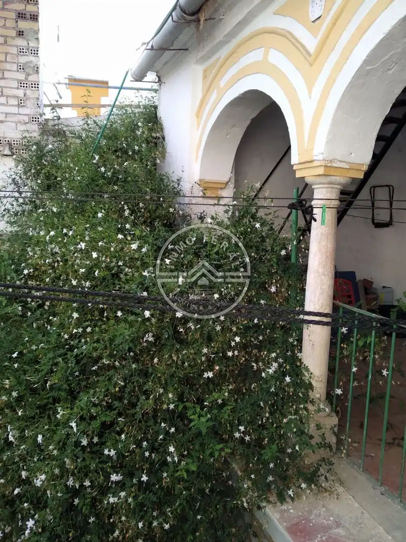 Vista exterior de Casa o chalet en venta en Écija con Terraza