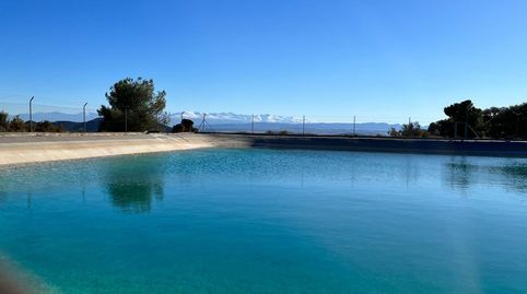 Finca de olivos Jaén, immagine 5