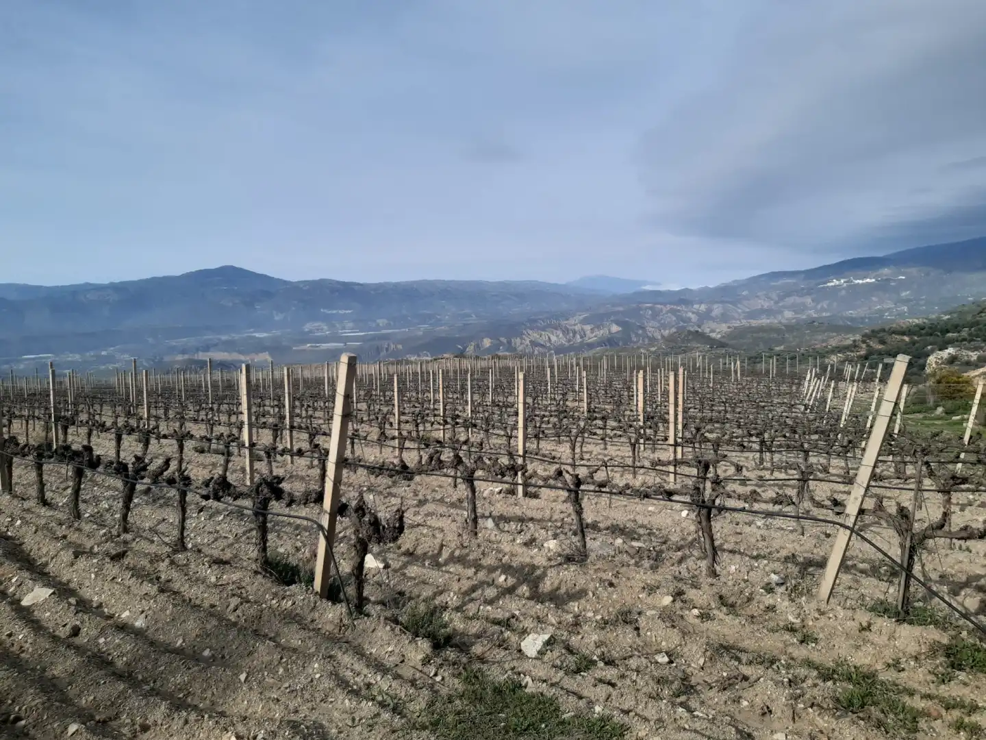 Terreni e lotti in vendita a Nevada, imagen 9