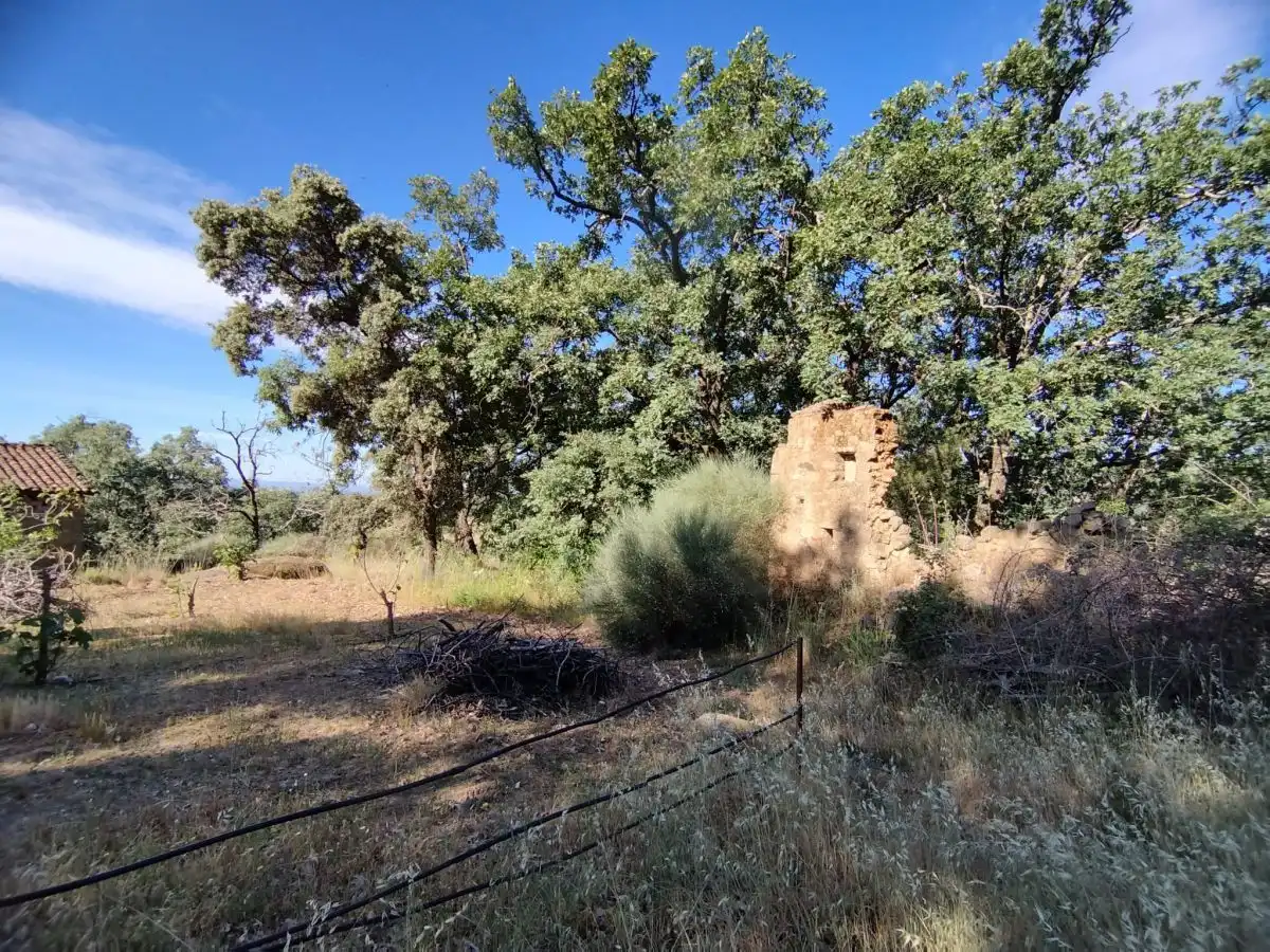 Terreni e lotti in vendita a Jarandilla de la Vera