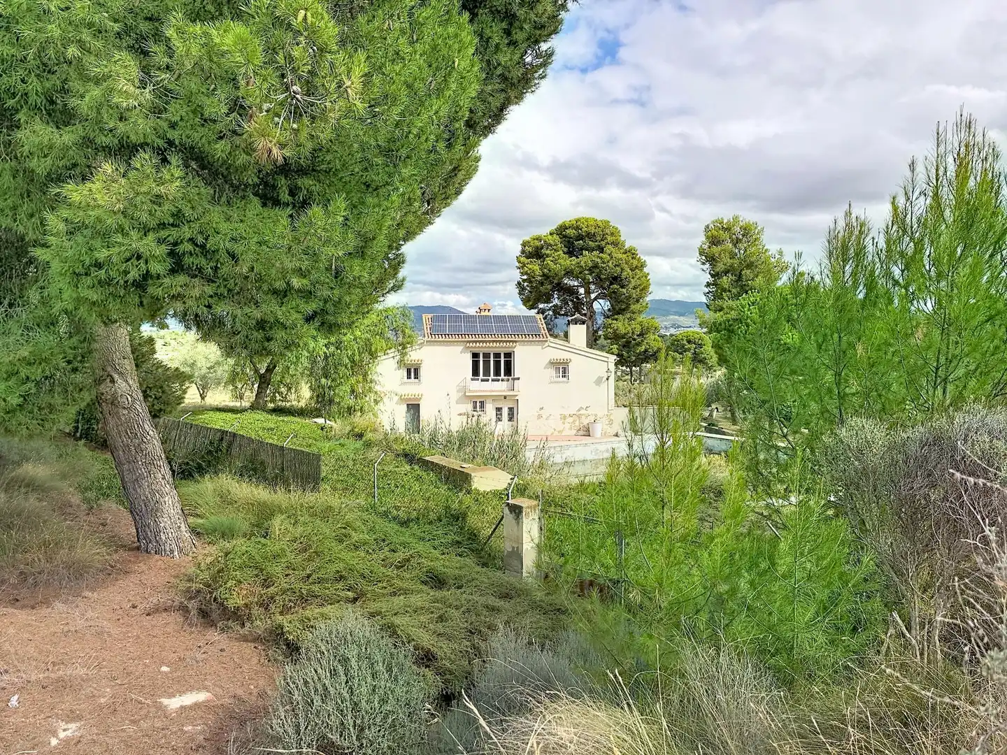 Vista exterior de Finca rústica en venta en Castalla, Alicante