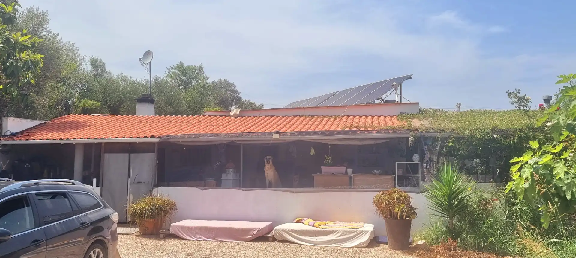 Finca rústica en venta en Vinaròs con Aire acondicionado, Jardín privado y Terraza
