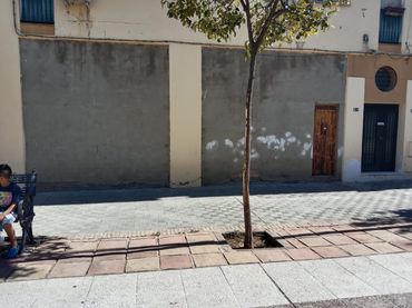 Gewerbefläche zum Verkauf in Arco Norte - Avda España