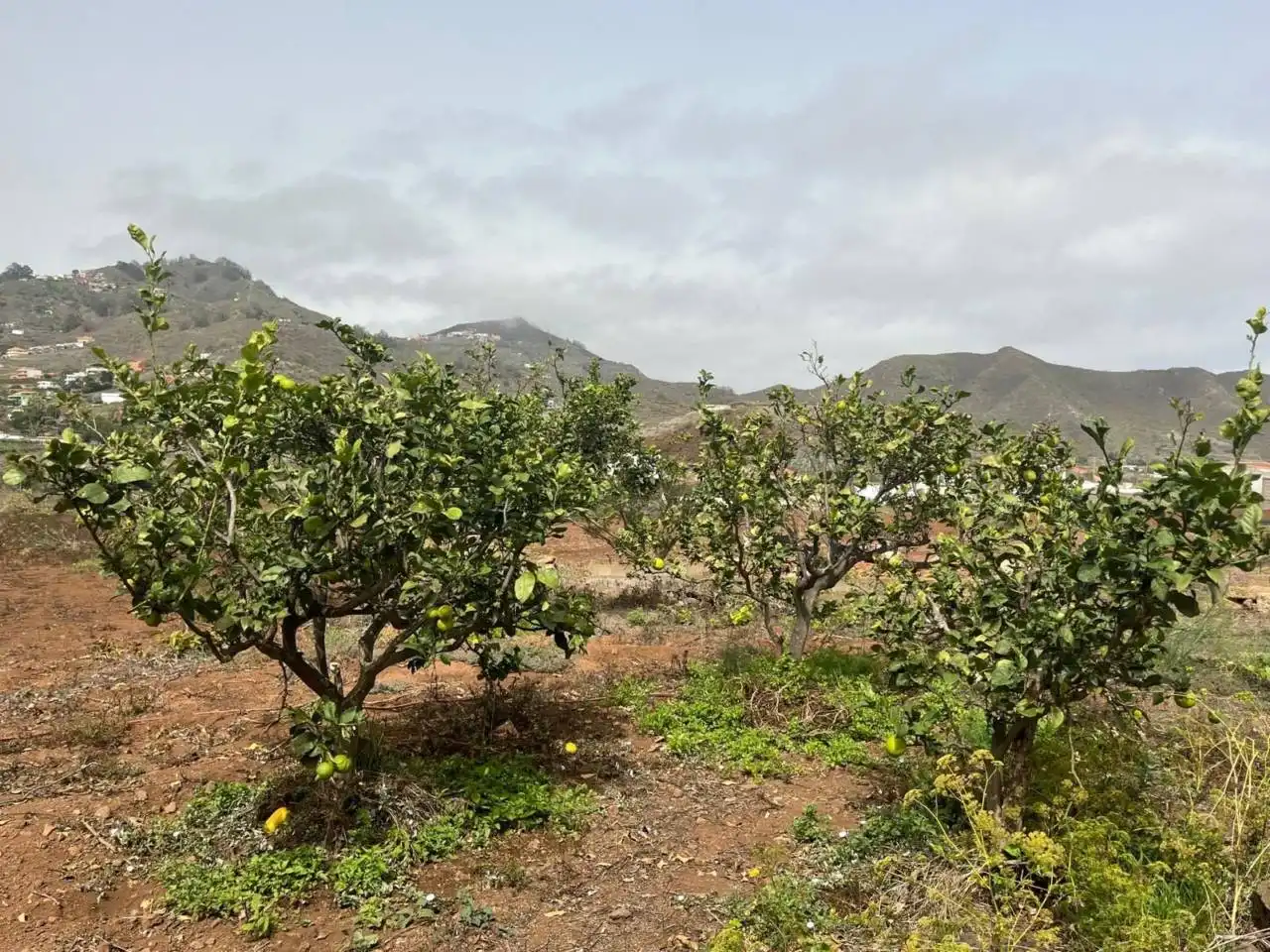 Country house with garden for sale in Plaza el Socorro, imagen 13