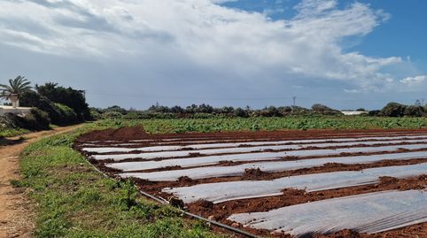 Terreno rústico en venta en Ciutadella, imatge 3