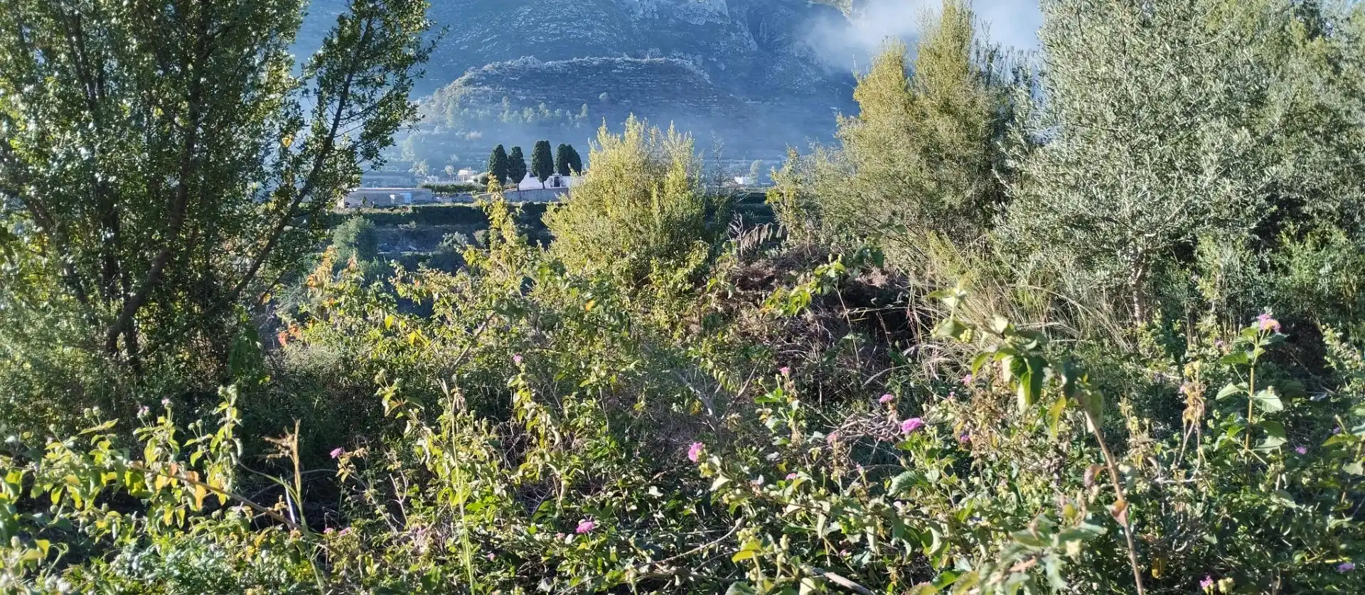Terreny rústic en venda a L'Atzúbia, imagen 13