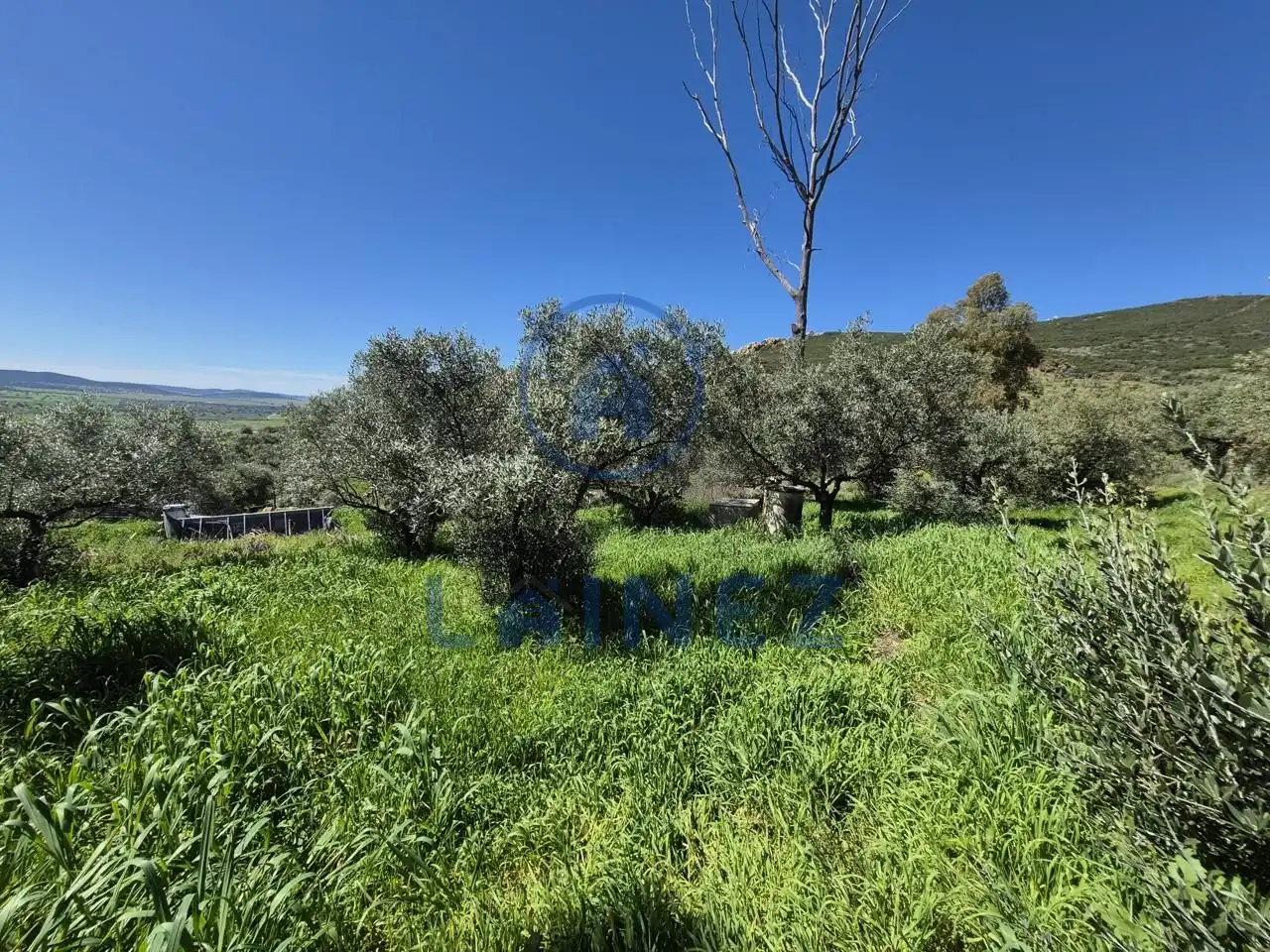 Grundstücke zum Verkauf in Peñarroya-Pueblonuevo