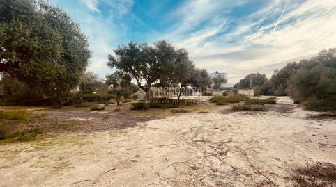 Photo 3 of Industrial land for sale in Barbate ciudad, Cádiz