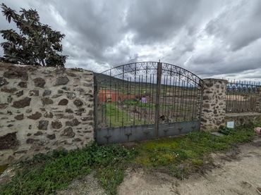 Terreni e lotti in vendita a Piedrabuena