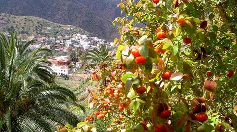 Photo 3 of Country house for sale in Vallehermoso, Santa Cruz de Tenerife