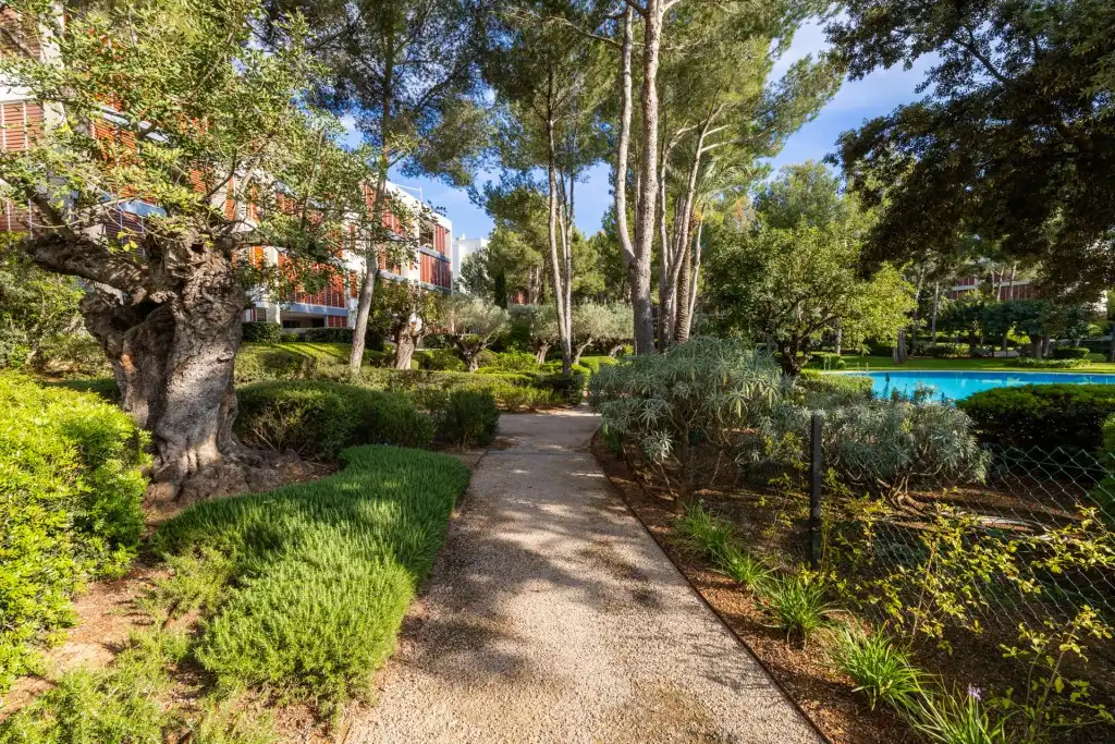 Jardí de Apartament en venda en Calvià amb Aire condicionat, Calefacció i Terrassa