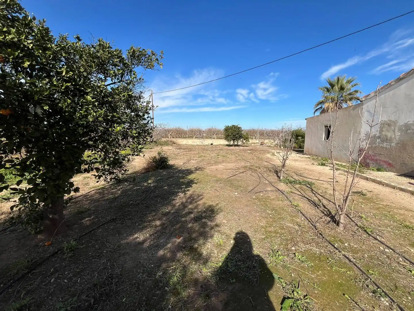 Casa o xalet en venda en Elche / Elx amb Jardí privat i Terrassa