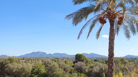 Foto 3 de Finca rústica en venda a Campos del Río, Murcia