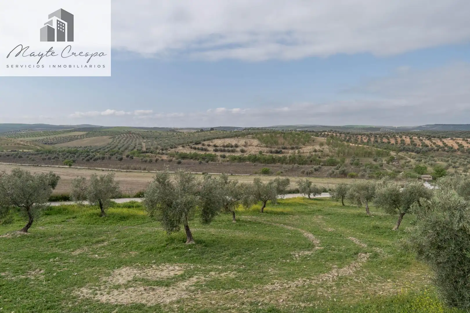 House with pool for sale in Calle del Geranio 29, imagen 19