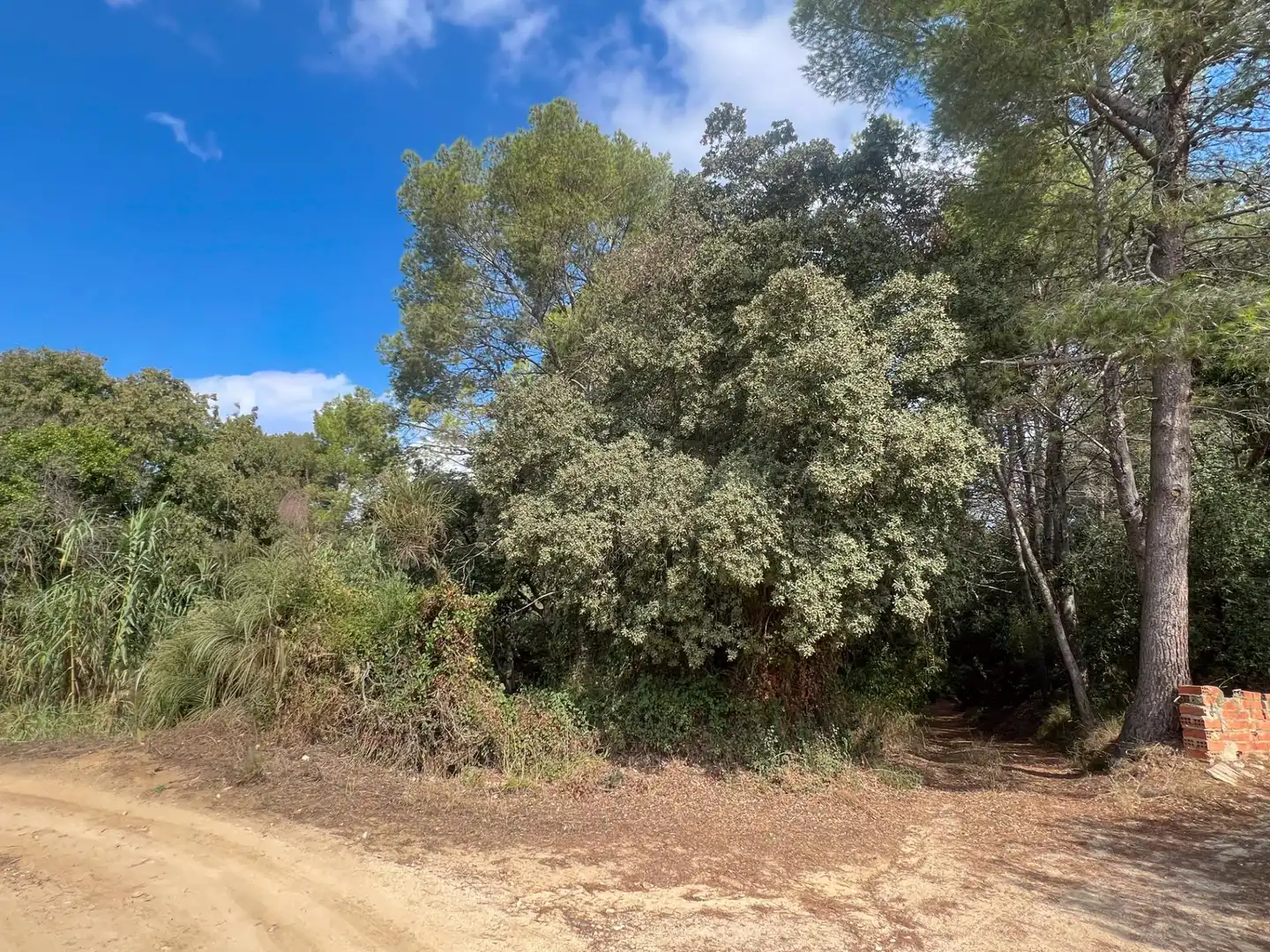 Finca rústica en venda en Les Borges del Camp amb Jardí privat, Traster i Piscina