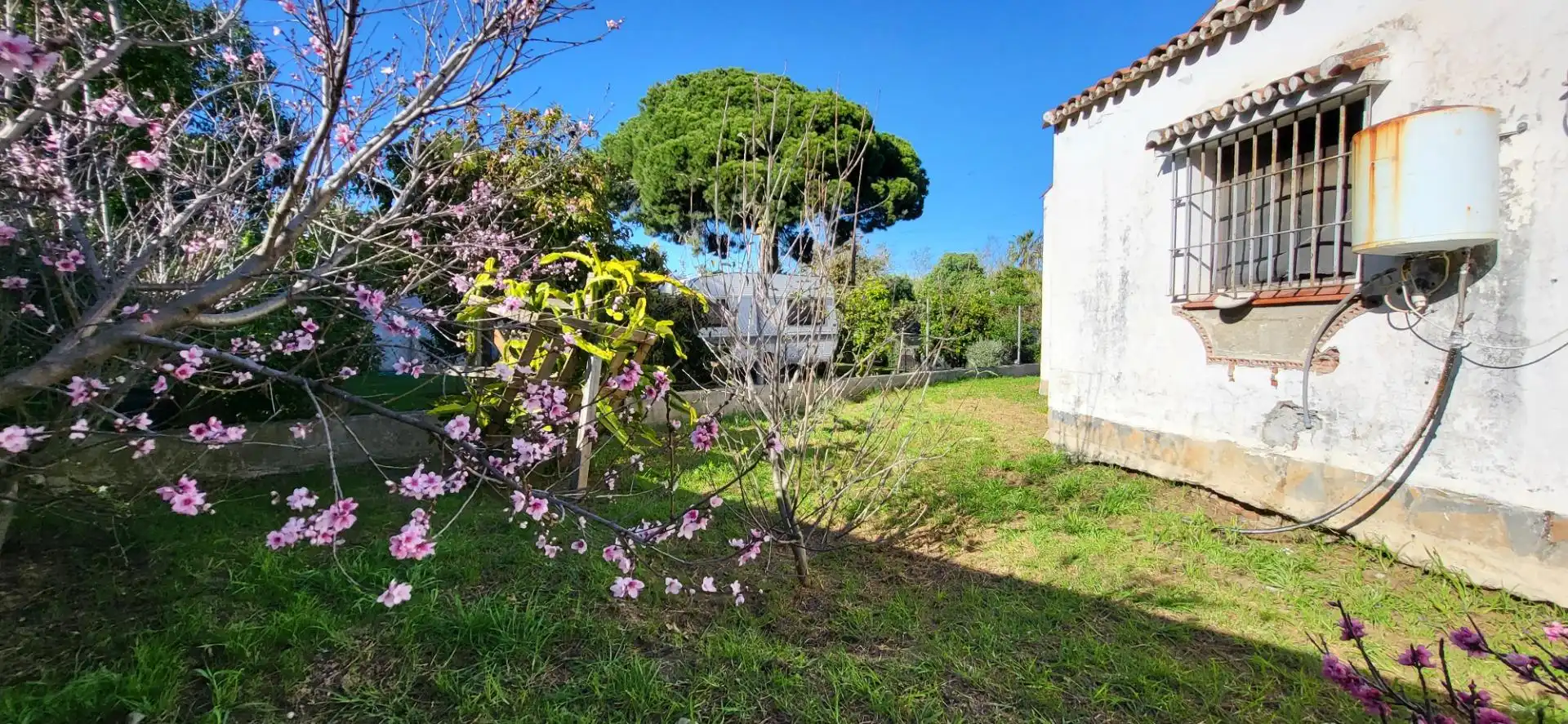 Chalet con jardín en venta en Benamara - Atalaya, imagen 2