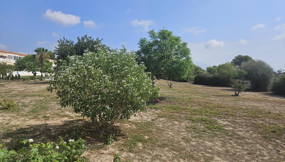 Foto 1 de Estudi en venda a Urbanizacion Barranco Hondo, El Tossal - Bello Horizonte, Alicante