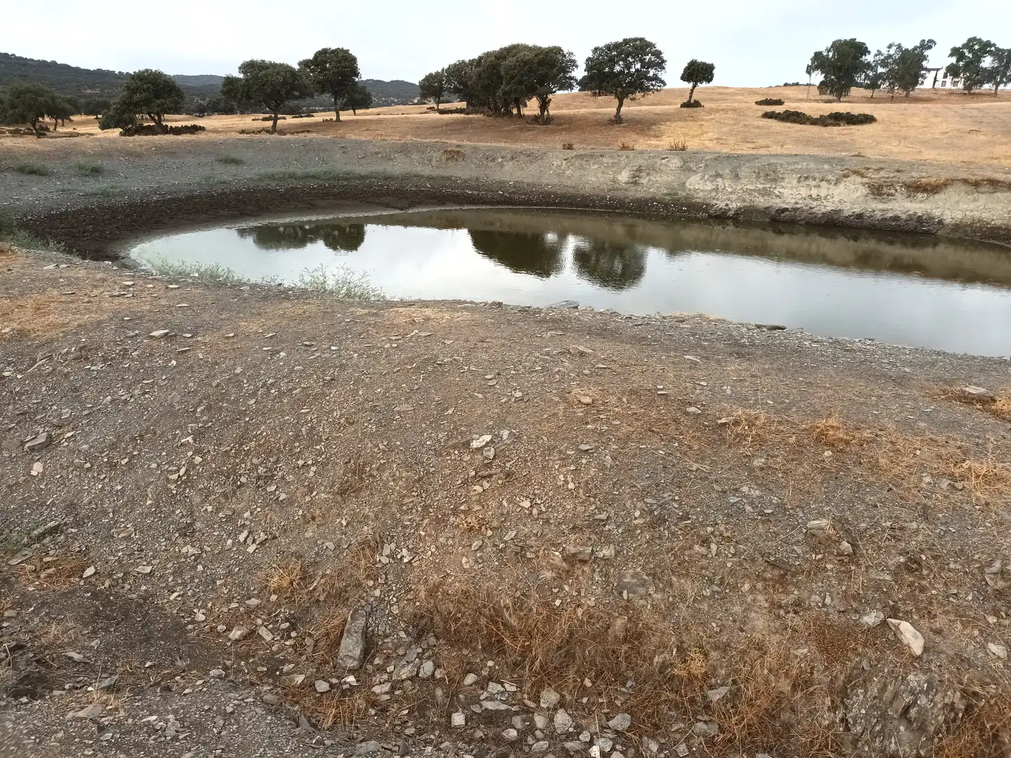 Land for sale in Vilches