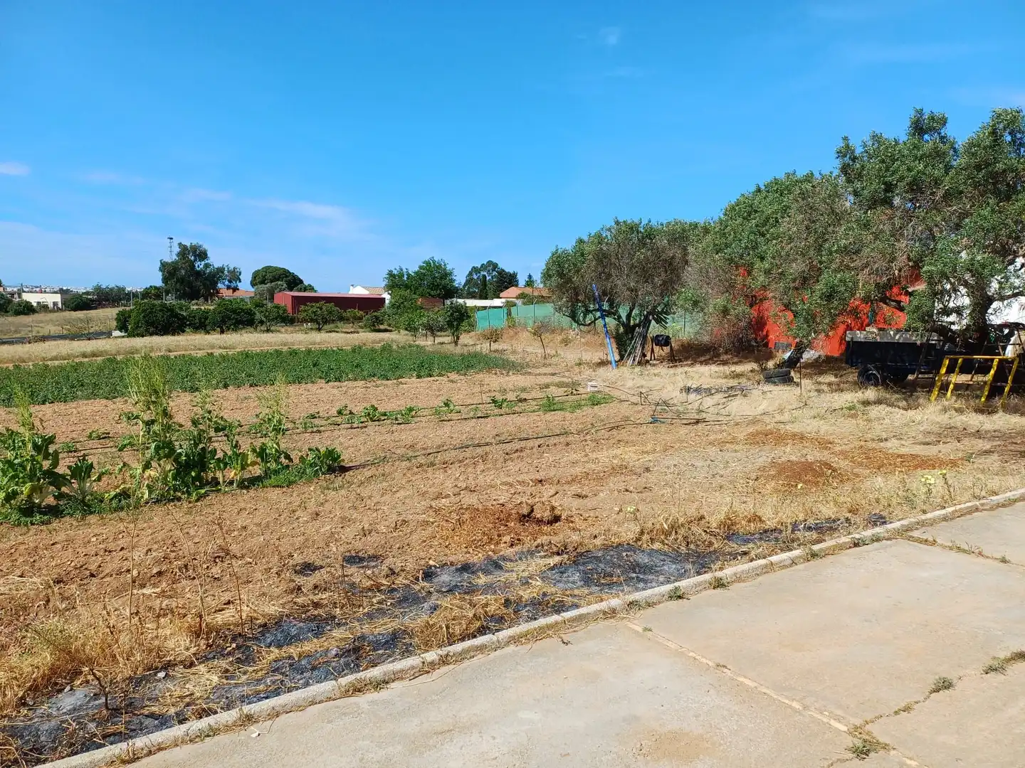 Finca rústica en venta en Isla Cristina con Jardín privado