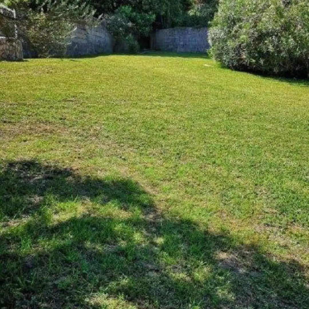 Villa mit Garten zum Verkauf in do Loureiro, imagen 10