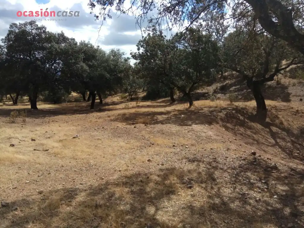 Finca rústica en venta en Villanueva del Duque