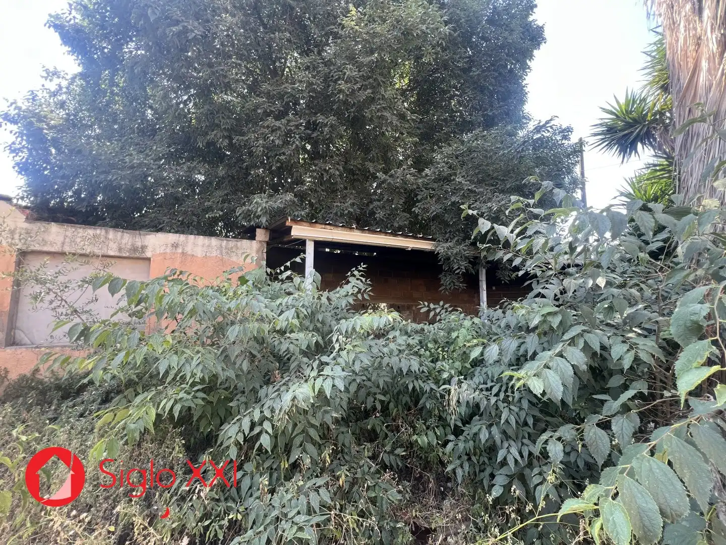 Casa o chalet en venta en Vila-real
