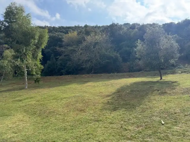 Wohnbaugrundstück zum Verkauf in Carrer Joan Portabella 1c, imagen 15