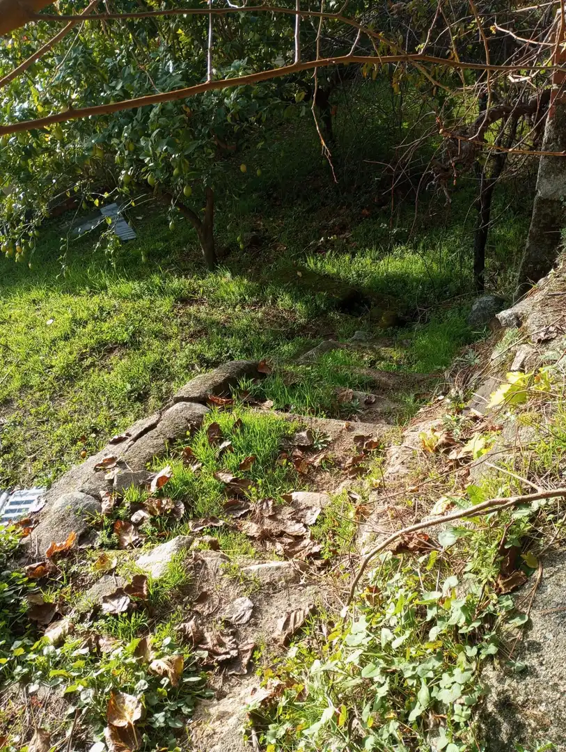 Terreni e lotti in vendita a Candeleda, imagen 7