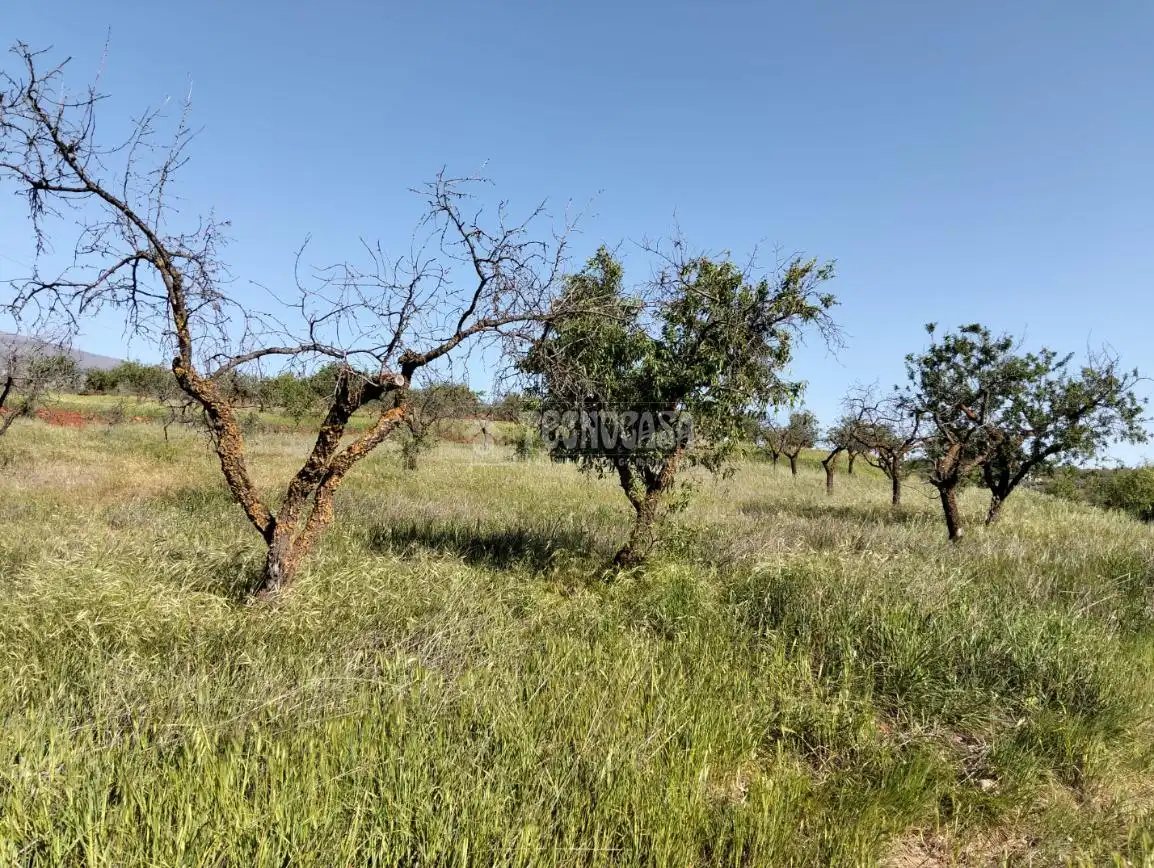Rural land for sale in Dúrcal, imagen 13