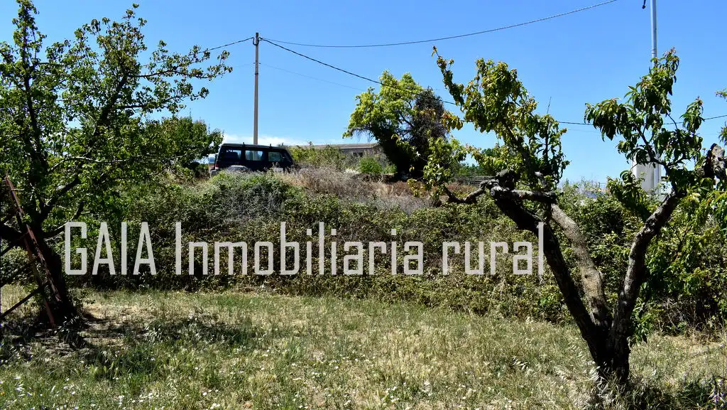 Terreni e lotti in vendita a Maella, imagen 7