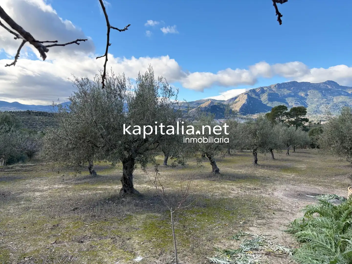 Houses for sale in Cocentaina  with Private garden, Terrace and Furnished
