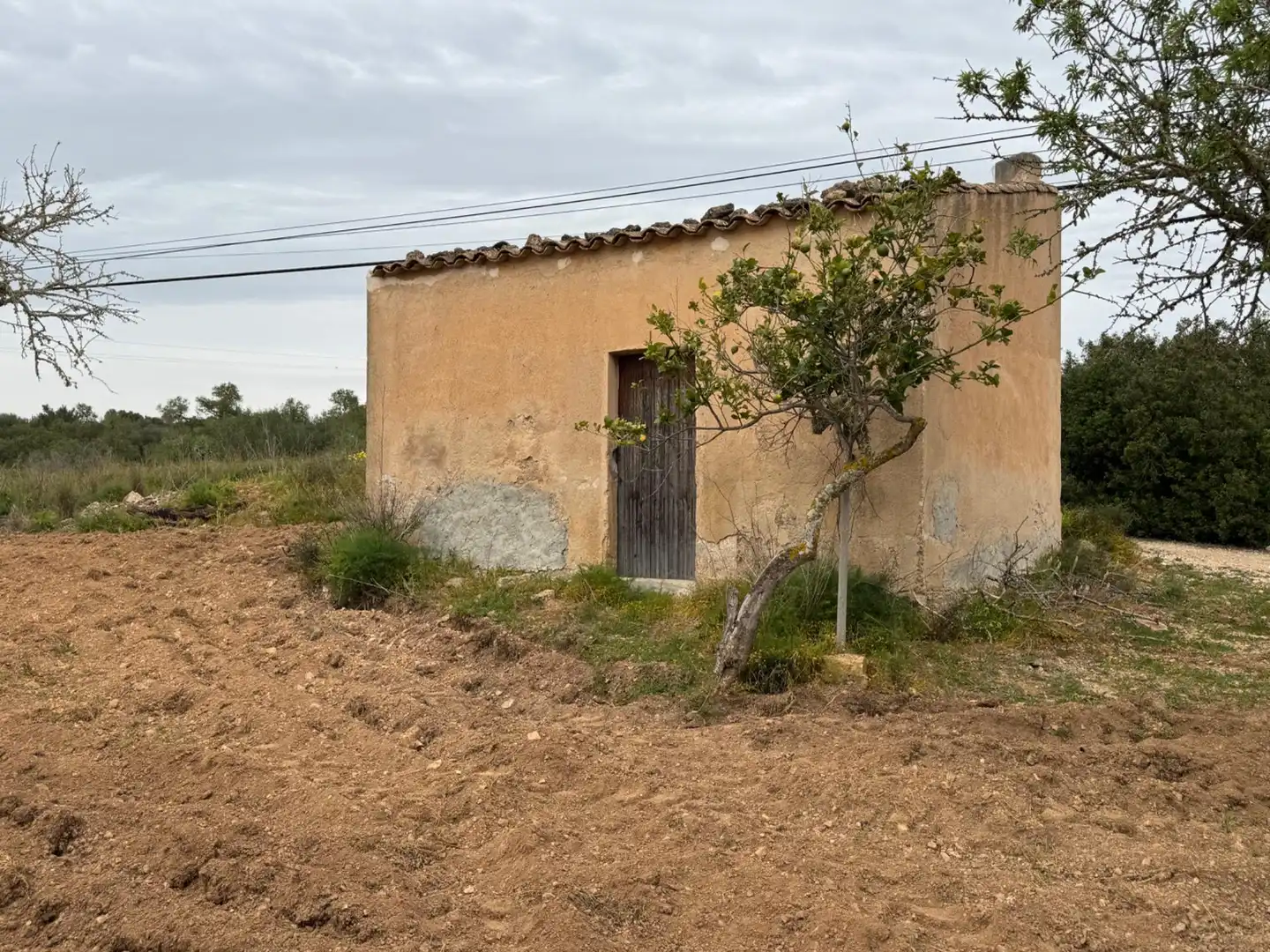 Rustikales Grundstück zum Verkauf in Camino Camí Vell de Porreres 2, imagen 2