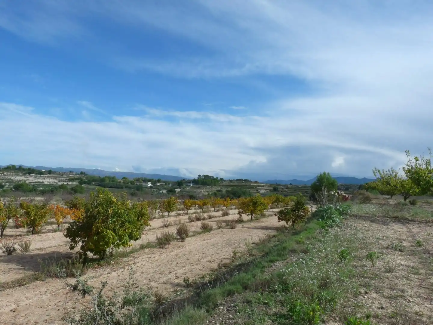 Country house zum Verkauf in Albaida mit Privatgarten und Abstellraum