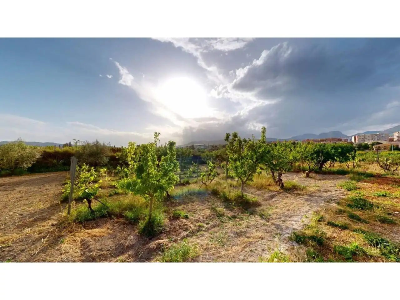 Casa rústica amb jardí en venda a Caravaca de la Cruz, imagen 38