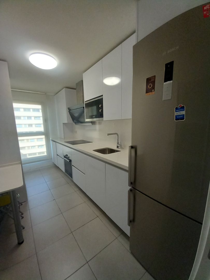 Kitchen of Flat to rent in Málaga Capital  with Air Conditioner, Terrace and Furnished