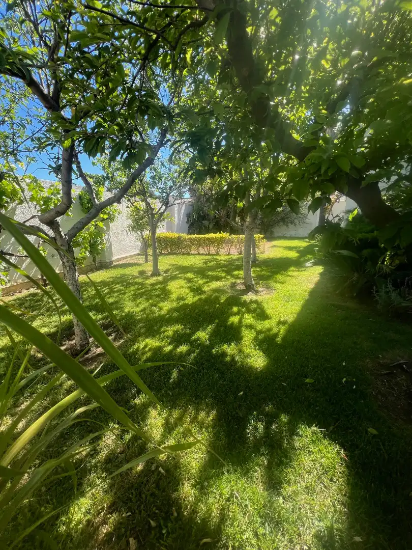 Jardín de Casa o chalet de alquiler en Mont-roig del Camp con Aire acondicionado, Jardín privado y Parquet