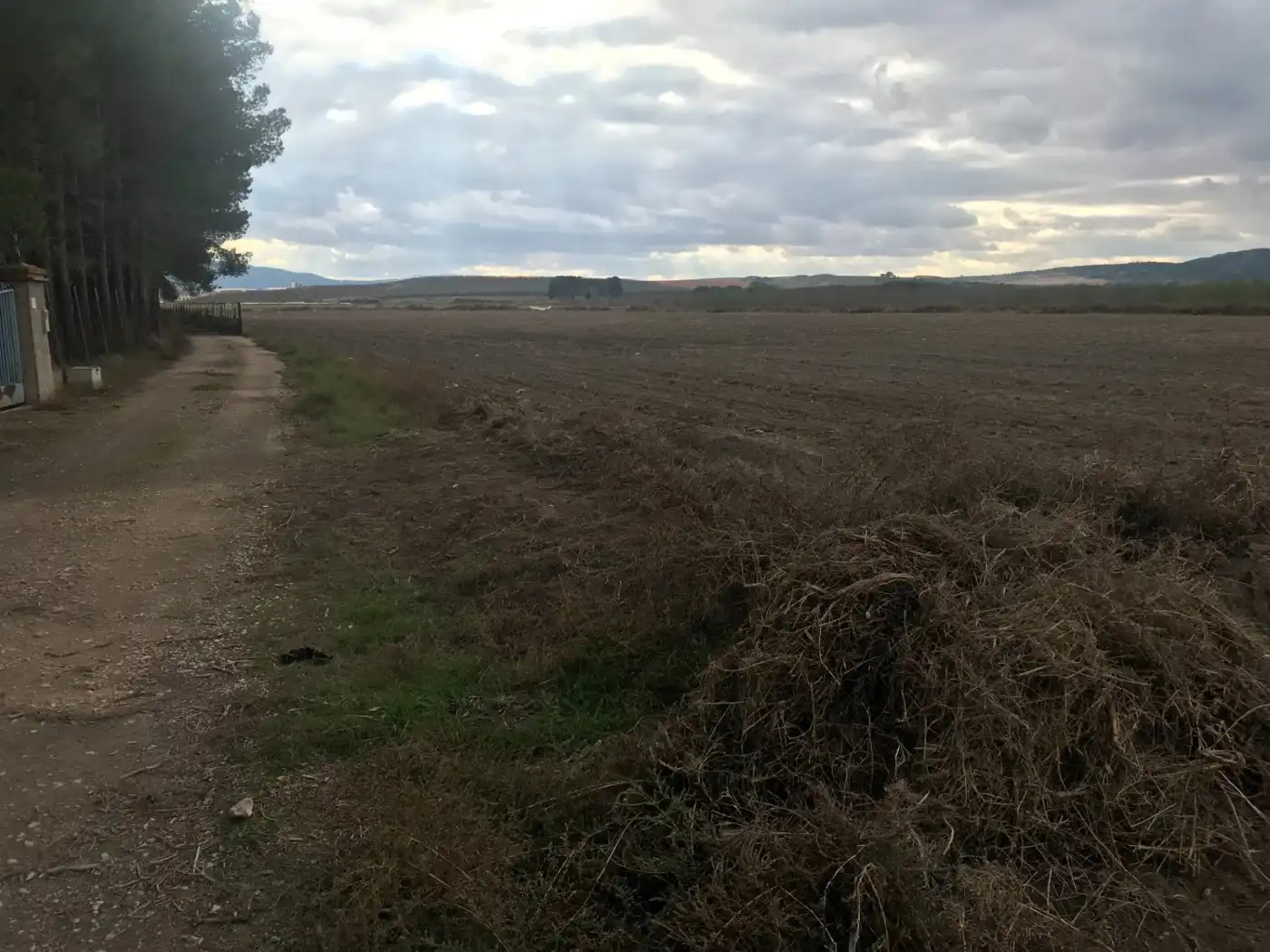 Grundstücke zum Verkauf in Villena