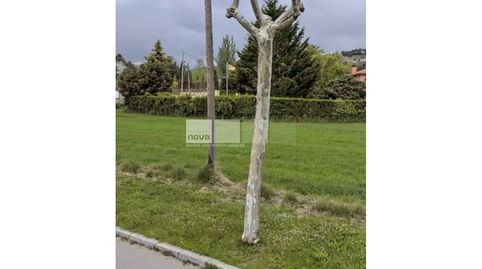 Precioso terreno en venta en zona residencial, immagine 2