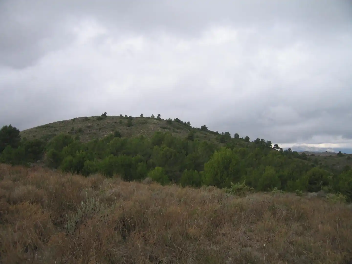 Terreno rustico in vendita a Pedanías Centro
